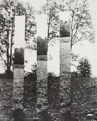 Item #55548 [THE OHO GROUP OR ART AS PHENOMENOLOGY – YUGOSLAV NEO-AVANT-GARDE BETWEEN ARTE...